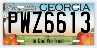 GA license plate PWZ6613