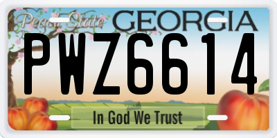 GA license plate PWZ6614