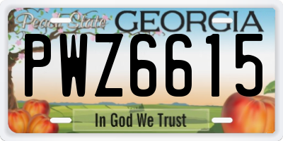 GA license plate PWZ6615
