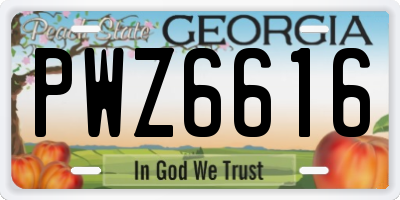 GA license plate PWZ6616