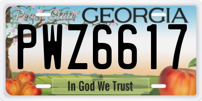 GA license plate PWZ6617