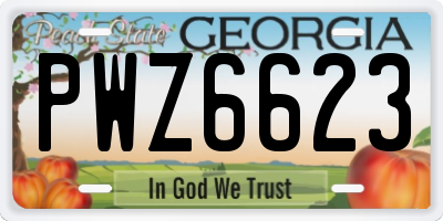 GA license plate PWZ6623
