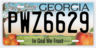 GA license plate PWZ6629