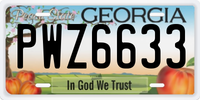 GA license plate PWZ6633