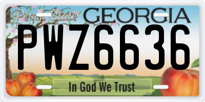 GA license plate PWZ6636