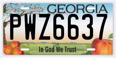 GA license plate PWZ6637