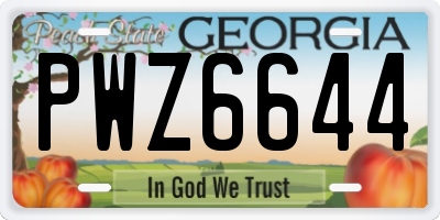 GA license plate PWZ6644