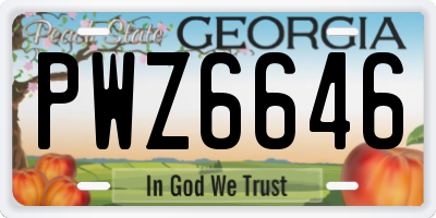 GA license plate PWZ6646