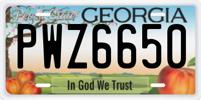 GA license plate PWZ6650