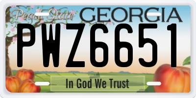 GA license plate PWZ6651