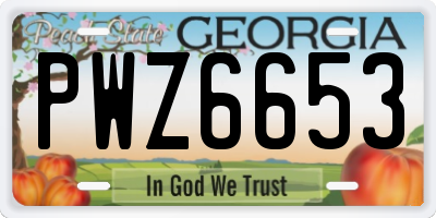 GA license plate PWZ6653