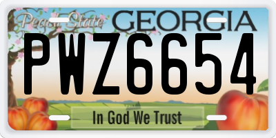 GA license plate PWZ6654