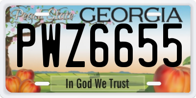 GA license plate PWZ6655