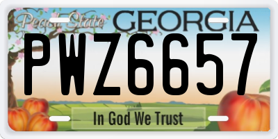 GA license plate PWZ6657