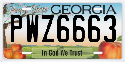 GA license plate PWZ6663