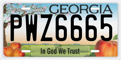 GA license plate PWZ6665