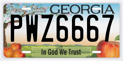 GA license plate PWZ6667