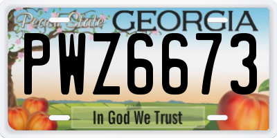 GA license plate PWZ6673