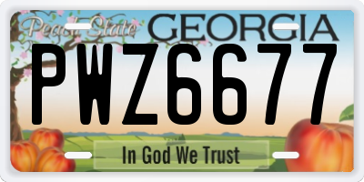 GA license plate PWZ6677