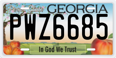 GA license plate PWZ6685