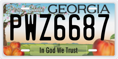 GA license plate PWZ6687