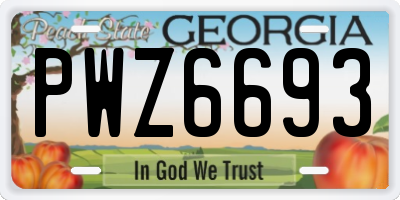 GA license plate PWZ6693
