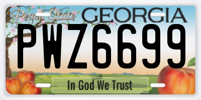 GA license plate PWZ6699