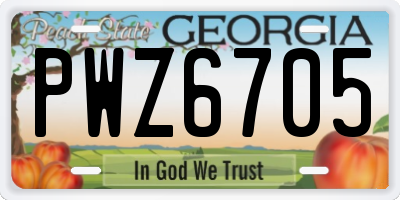GA license plate PWZ6705