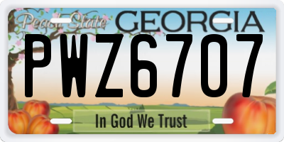 GA license plate PWZ6707