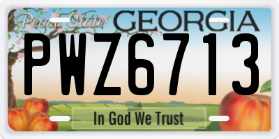 GA license plate PWZ6713