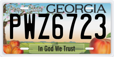 GA license plate PWZ6723