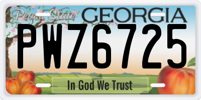 GA license plate PWZ6725