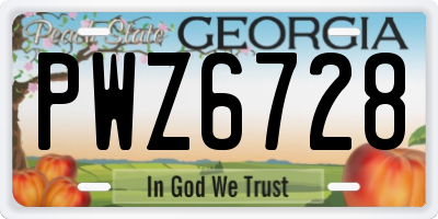GA license plate PWZ6728