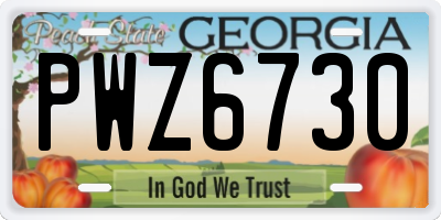 GA license plate PWZ6730