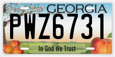 GA license plate PWZ6731