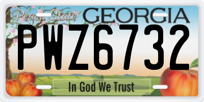 GA license plate PWZ6732
