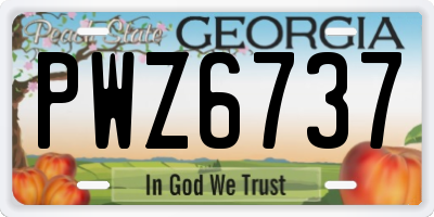 GA license plate PWZ6737
