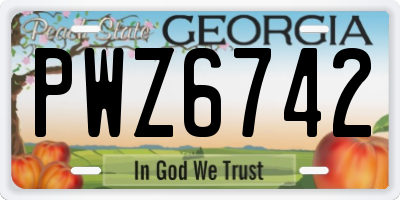 GA license plate PWZ6742