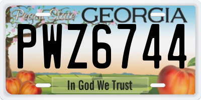 GA license plate PWZ6744