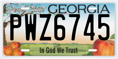 GA license plate PWZ6745