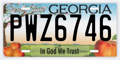 GA license plate PWZ6746