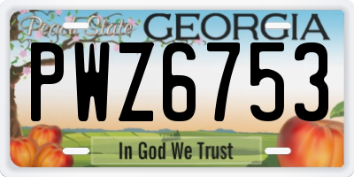GA license plate PWZ6753