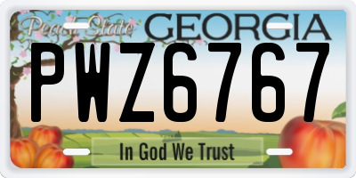 GA license plate PWZ6767