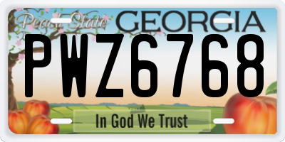 GA license plate PWZ6768