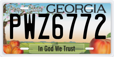 GA license plate PWZ6772