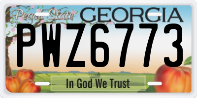 GA license plate PWZ6773