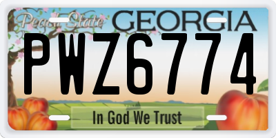 GA license plate PWZ6774