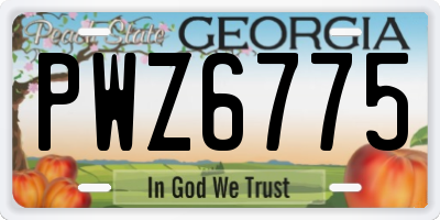 GA license plate PWZ6775