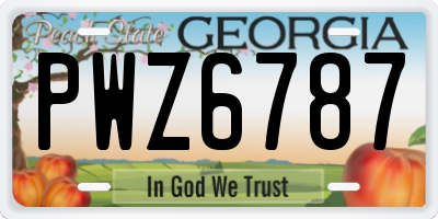 GA license plate PWZ6787