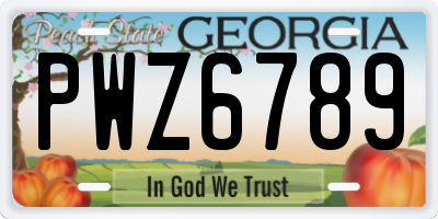 GA license plate PWZ6789